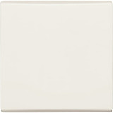 Busch-Jaeger Wippe Aus Wechsel Kreuz weiß, Retail