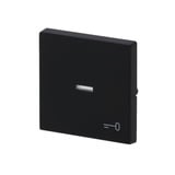 Busch-Jaeger Wippe mit Symbol Schlüssel schwarz, Retail