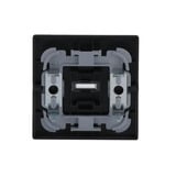 Busch-Jaeger Wippe mit Symbol Schlüssel schwarz, Retail