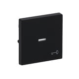 Busch-Jaeger Wippe mit Symbol Schlüssel schwarz, Retail