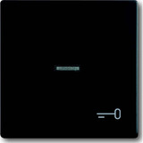 Busch-Jaeger Wippe mit Symbol Schlüssel schwarz, Retail