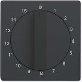 Busch-Jaeger Zentralscheibe Bedienelement, Abdeckung anthrazit, Retail