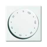 Busch-Jaeger Zentralscheibe, Rahmen Retail