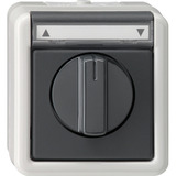 Gira Jalousietaster Schalter einpolig mit Drehknopf grau, Retail