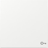 Gira Wippe mit Symbol Schlüssel Tür einteilige Ausführung Schalter Taster weiß, Retail