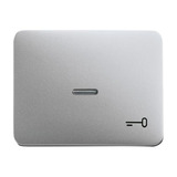 Busch-Jaeger Wippe mit Symbol Schlüssel titan, Retail