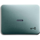 Busch-Jaeger Wippe mit Symbol Schlüssel titan, Retail