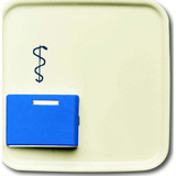 Busch-Jaeger Zentralscheibe als Abdeckung für Ruftaster Arztruf weiß, Retail