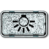 Busch-Jaeger Tastersymbol Licht 2622 LI-101, Schalter Retail