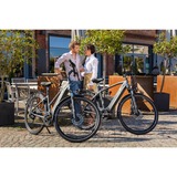 FISCHER Fahrrad Viator 5.0i Damen, Pedelec grau, 44 cm Rahmen, 28"