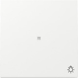 Gira Wippe Kontrollfenster und Symbol weiß, Retail