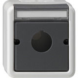 Gira Zentralplatte für 22,5 Millimeter mit Beschriftungsfeld zur Aufnahme von Befehls- und Meldegeräten, Gehäuse grau, Retail