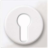 Merten Zentralplatte für genormte Profil-Halbzylinderschlösser mit 40 Millimeter Länge weiß (glänzend), Retail