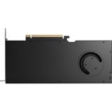 PNY NVIDIA RTX PRO 4000 Blackwell 24GB SB, Grafikkarte Bulk