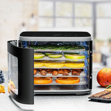 Rommelsbacher Mini Dörrautomat DA 450 edelstahl/schwarz, 450 Watt, Dörrfläche 23,5cm x 18cm pro Ebene