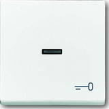 Busch-Jaeger Wippe mit Symbol Schlüssel 1789 TR-84 weiß (glänzend), Retail