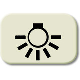 Busch-Jaeger Tastersymbol 2525 LI, Rahmen weiß, Retail