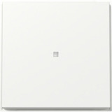 Gira Wippe Kontrollfenster weiß, Retail