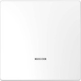 Merten Wippe mit Kontrollfenster für Kontrollschalter- und Taster-Einsatz, einteilig, glänzend weiß (glänzend), Retail