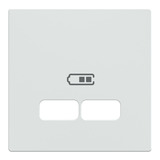 Merten Zentralplatte polarweiß glänzend für USB Ladestation Einsatz Typ MEG4367-0319 weiß (glänzend), Retail