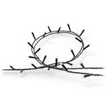 Philips Hue Hue White & Color Ambiance Festavia Lichterkette 20m 