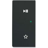 Busch-Jaeger Wippe schwarz, Retail