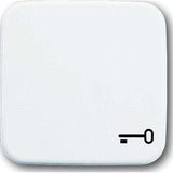 Busch-Jaeger Wippe einteilige mit Symbol Schlüssel weiß, Retail