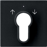 Gira Abdeckung für Schlüsselschalter und Schlüsseltaster matt lackiert schwarz, Retail