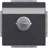 Busch-Jaeger Schutzkontakt Steckdosen-Einsatz anthrazit, Retail