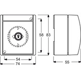 Busch-Jaeger Schutzkontaktsteckdose 2 Steckdosen mit 2 gleichen Schlössern blau, Retail