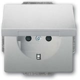 Busch-Jaeger Schutzkontaktsteckdose Einsatz 20 EUKB-866 edelstahl, Retail