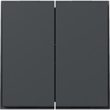 Gira Wippe zweifach gerade anthrazit, Retail