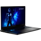 ERAZER Defender 17 P1 (MD62757), Gaming-Notebook