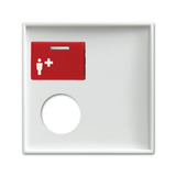 Busch-Jaeger Zentralscheibe für Rufmodul mit Ruftaster und Steckkontakt 2548-071 E-914, Rahmen weiß, Retail