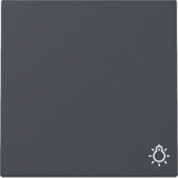 Gira Wippe Symbol Licht anthrazit, Retail