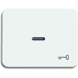 Busch-Jaeger Wippe mit Symbol Schlüssel 1789 TR-24G weiß, Retail