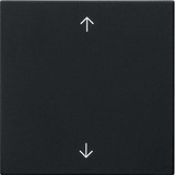 Gira Wippe einfach schwarz, Retail