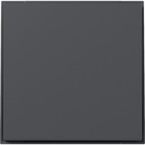 Gira Wippe gerade anthrazit, Retail