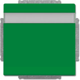 Busch-Jaeger Schutzkontakt-Steckdose Einsatz Typ F mit Klappdeckel und erhöhtem Berührungsschutz grün, Retail