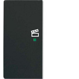 Busch-Jaeger Wippe future linear schwarz, Retail