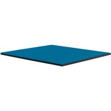 Thermal Grizzly Minus Pad Advance - 100x100x1,5 mm, Wärmeleitpads 2er Pack