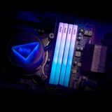 ADATA DIMM 16 GB DDR5-6000 (1x 16 GB), Arbeitsspeicher weiß, AX5U6000C4816G-SLABRWH, XPG Lancer Blade RGB, INTEL XMP, AMD EXPO
