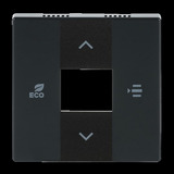 Busch-Jaeger Zentralscheibe, Rahmen anthrazit, Retail