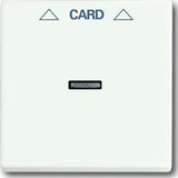 Busch-Jaeger Zentralscheibe für Schalter mit mattierter Oberfläche, Abdeckung weiß (matt), Retail