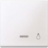 Merten Wippe Kontrollfenster für Kontrollschalter- und Taster-Einsatz mit Aufdruck Licht weiß (matt), Retail