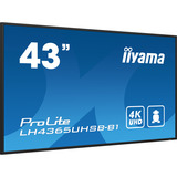 iiyama ProLite LH4365UHSB-B1, Public Display schwarz, UltraHD/4K, IPS, WiFi, Fernbedienung
