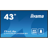 iiyama ProLite LH4365UHSB-B1, Public Display schwarz, UltraHD/4K, IPS, WiFi, Fernbedienung