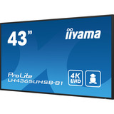 iiyama ProLite LH4365UHSB-B1, Public Display schwarz, UltraHD/4K, IPS, WiFi, Fernbedienung