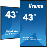 iiyama ProLite LH4365UHSB-B1, Public Display schwarz, UltraHD/4K, IPS, WiFi, Fernbedienung