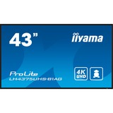 iiyama ProLite LH4375UHS-B1AG, Public Display schwarz (matt), UltraHD/4K, IPS, Lautsprecher, SDM-Slot